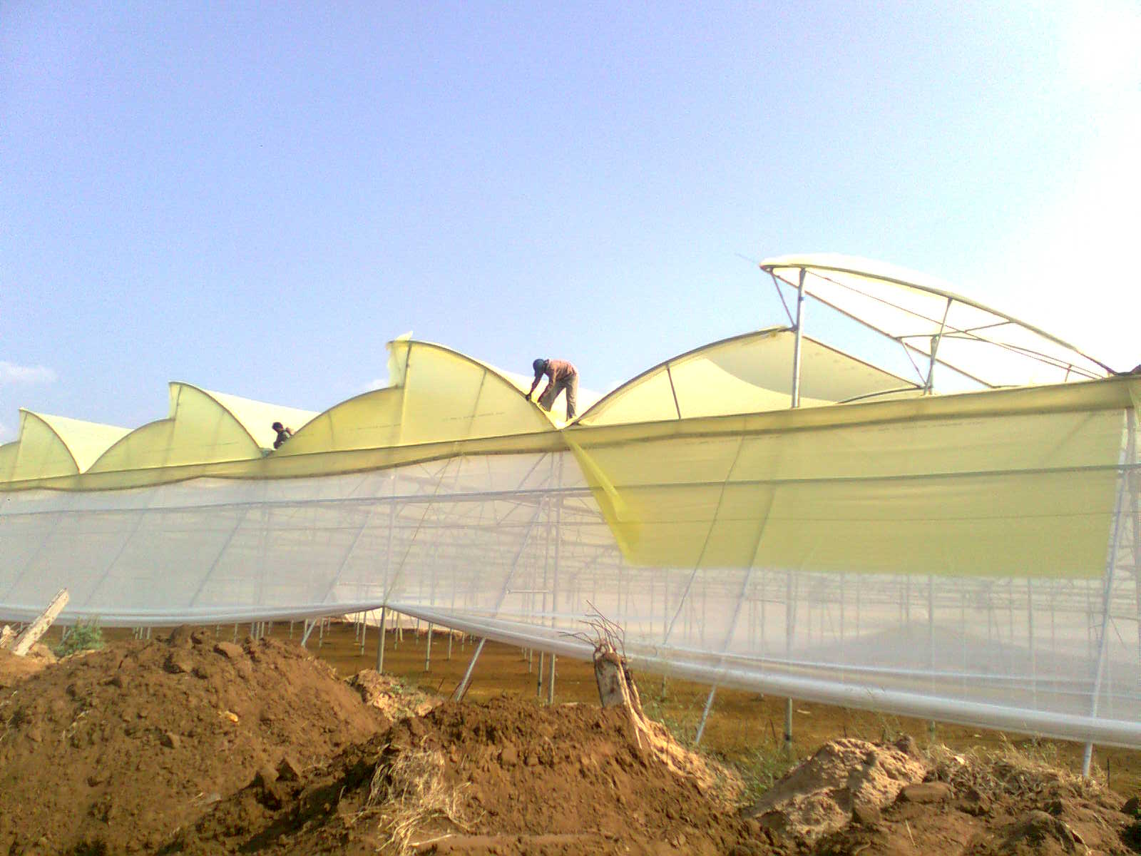 Greenhouse Project 9